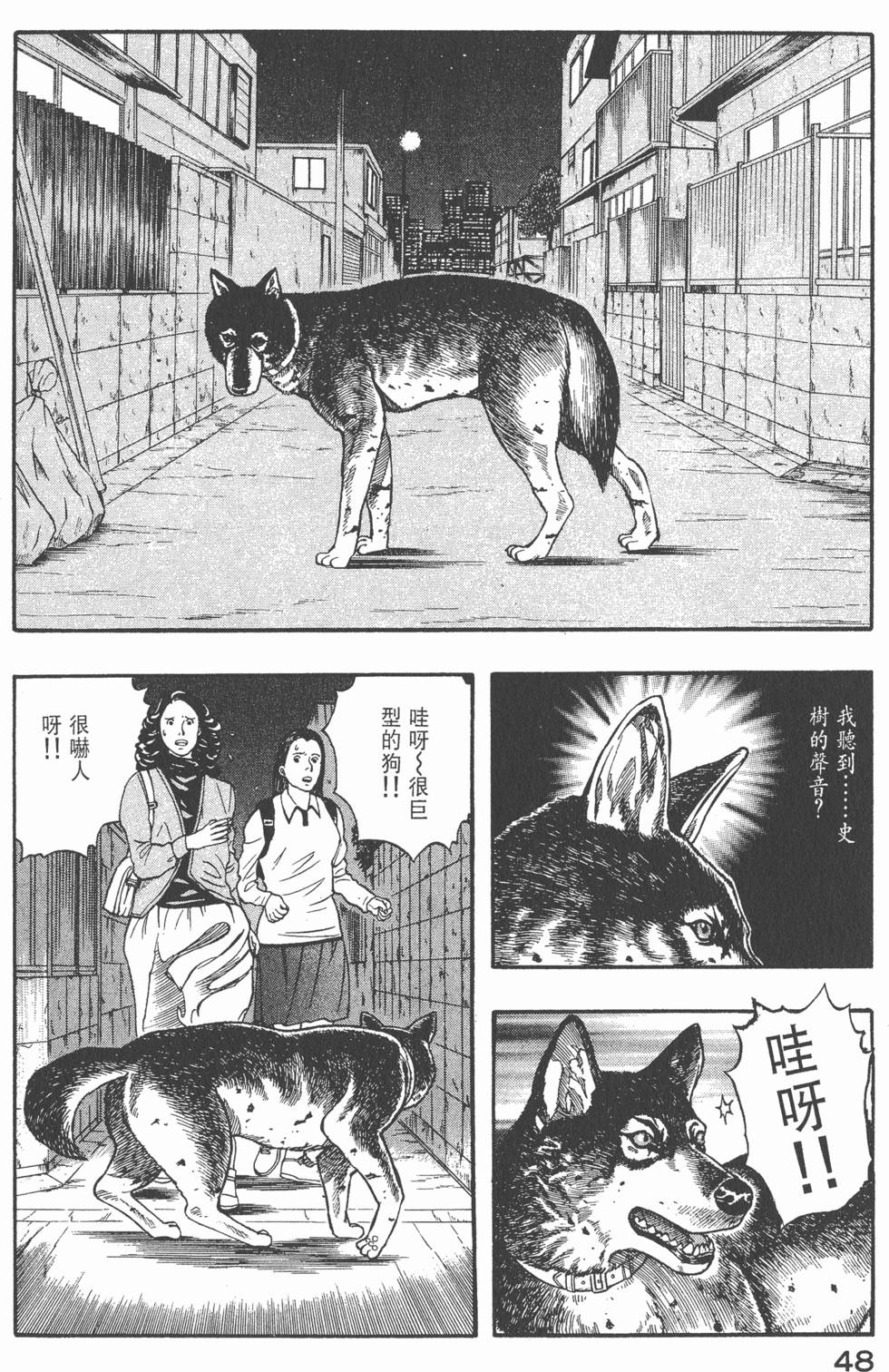第46页
