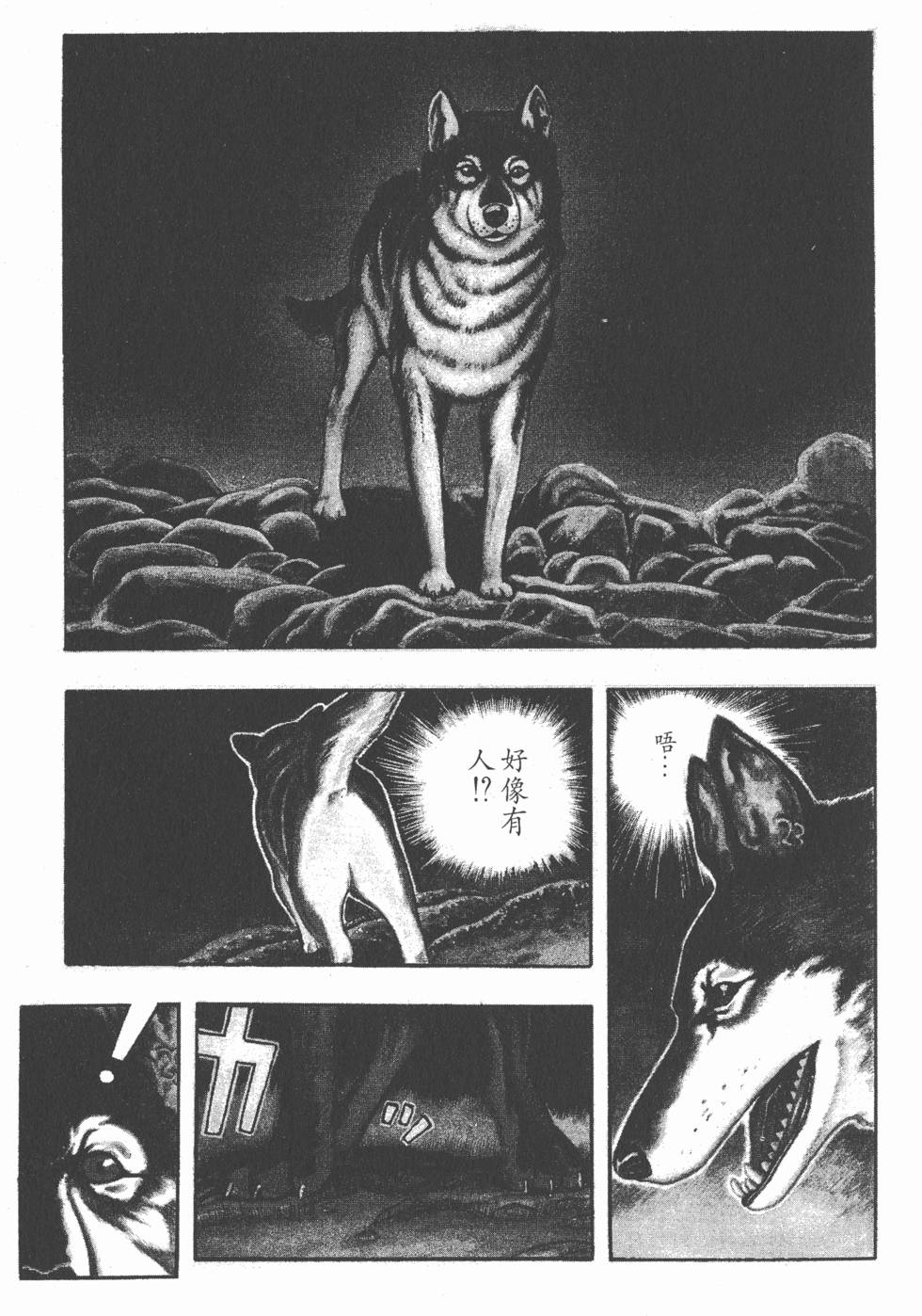 第81页