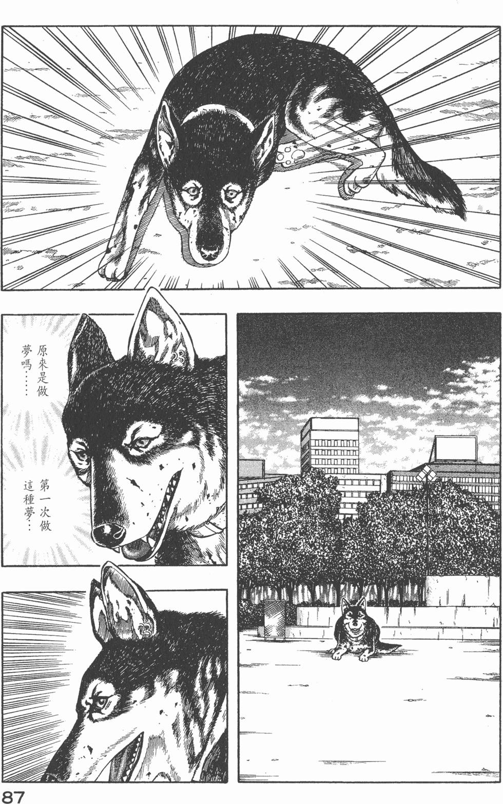 第85页