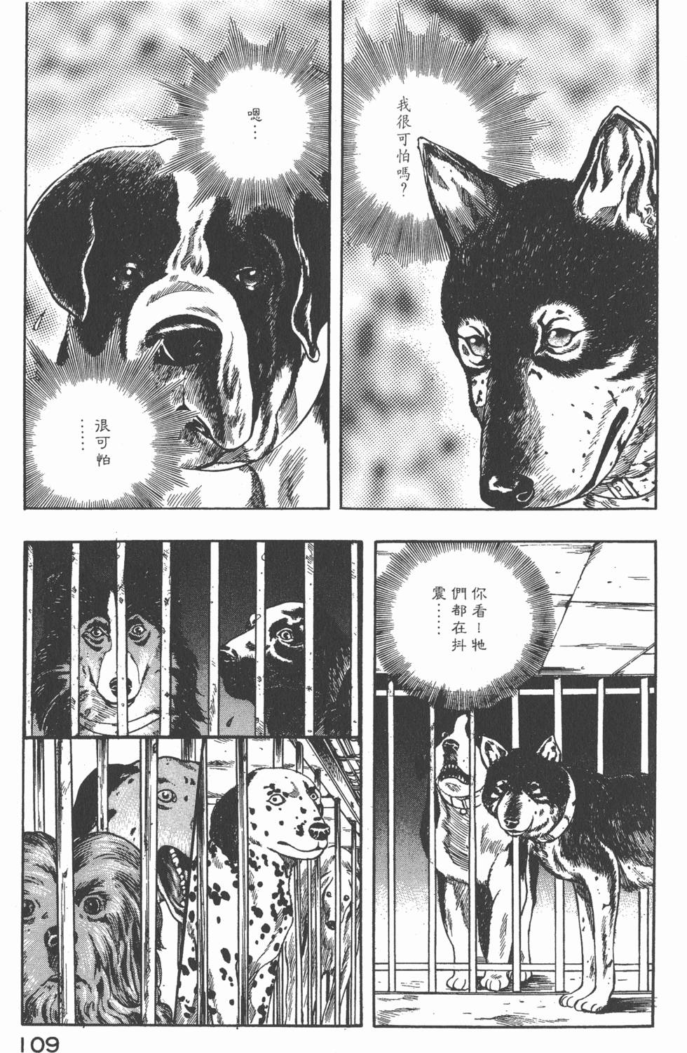 第107页