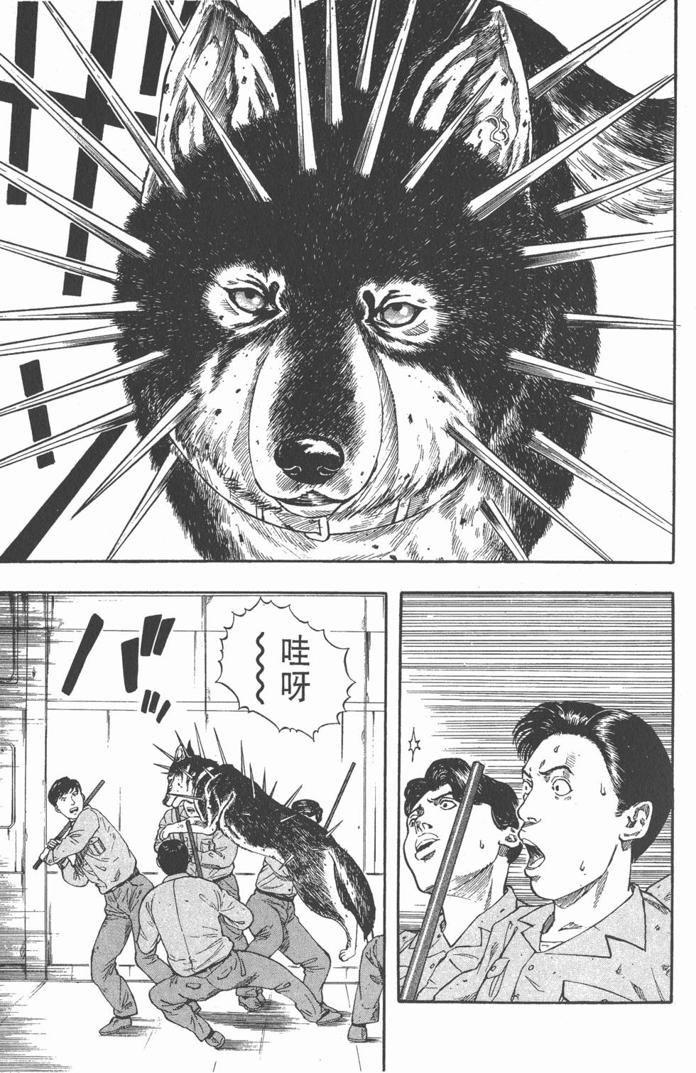 第155页
