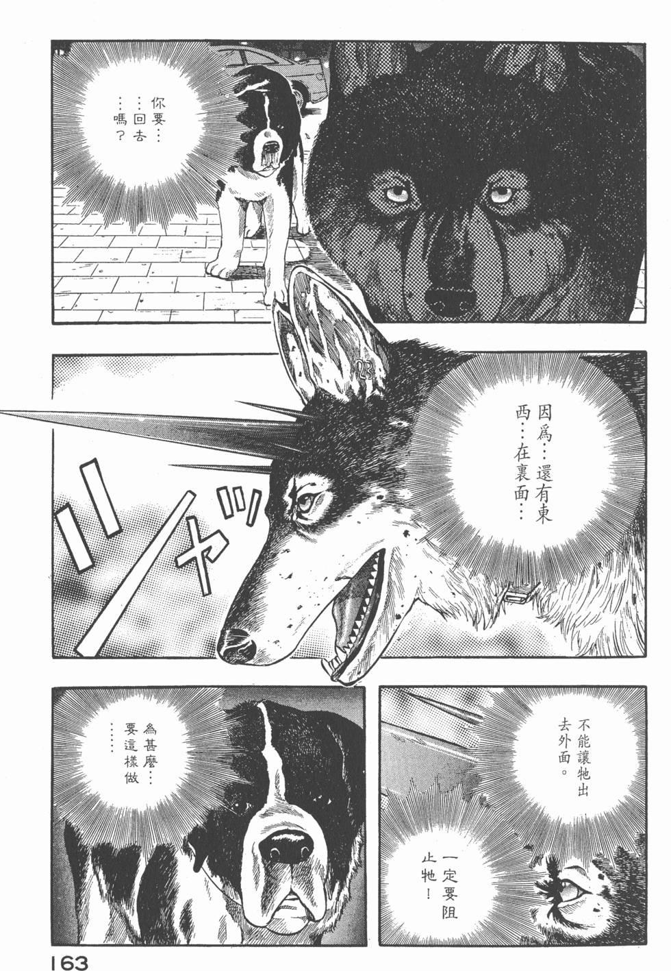 第161页