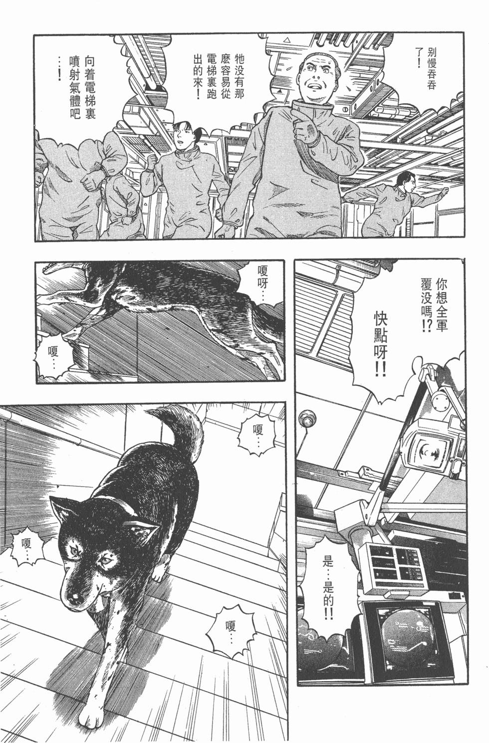 第181页