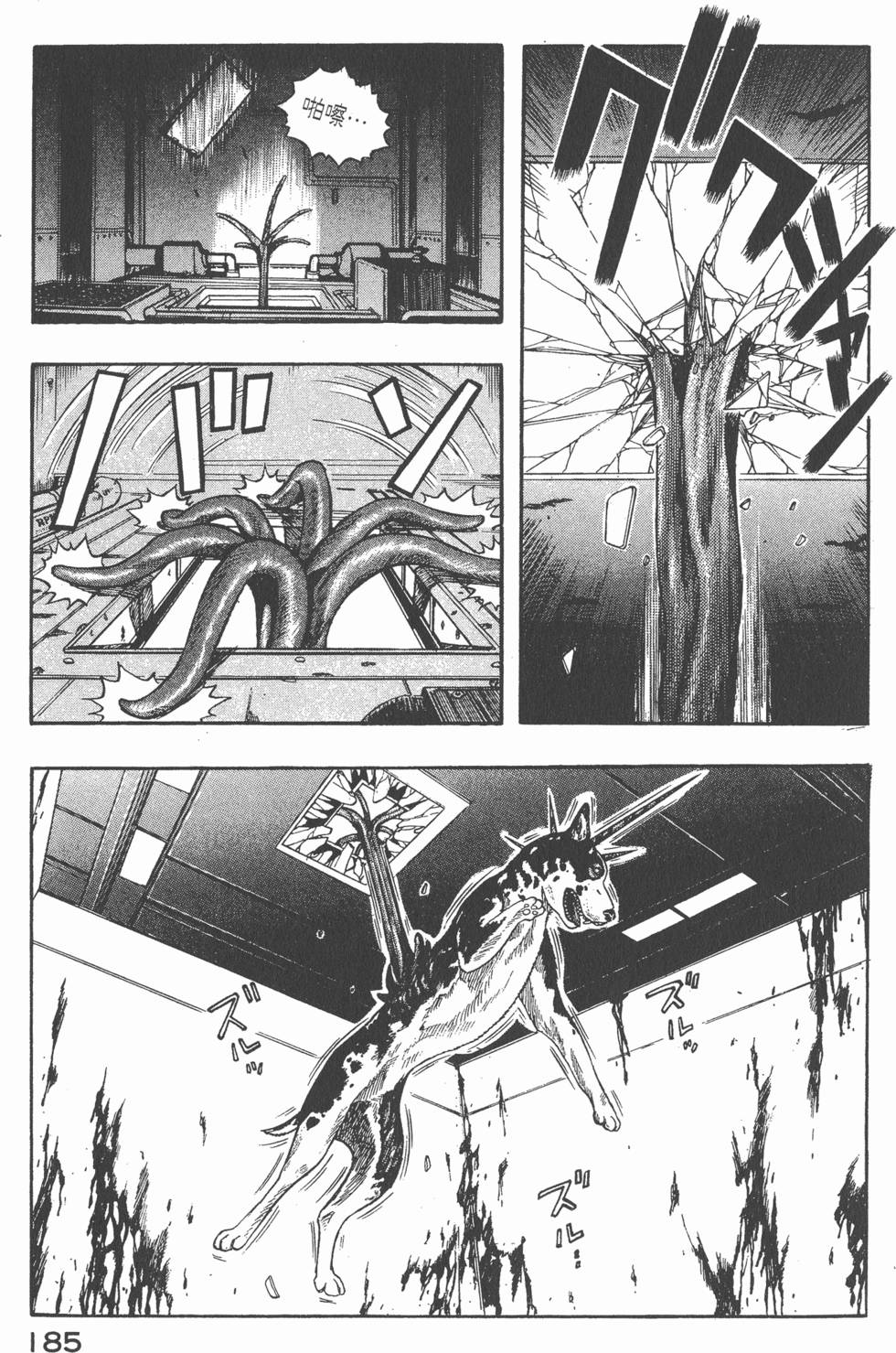 第183页