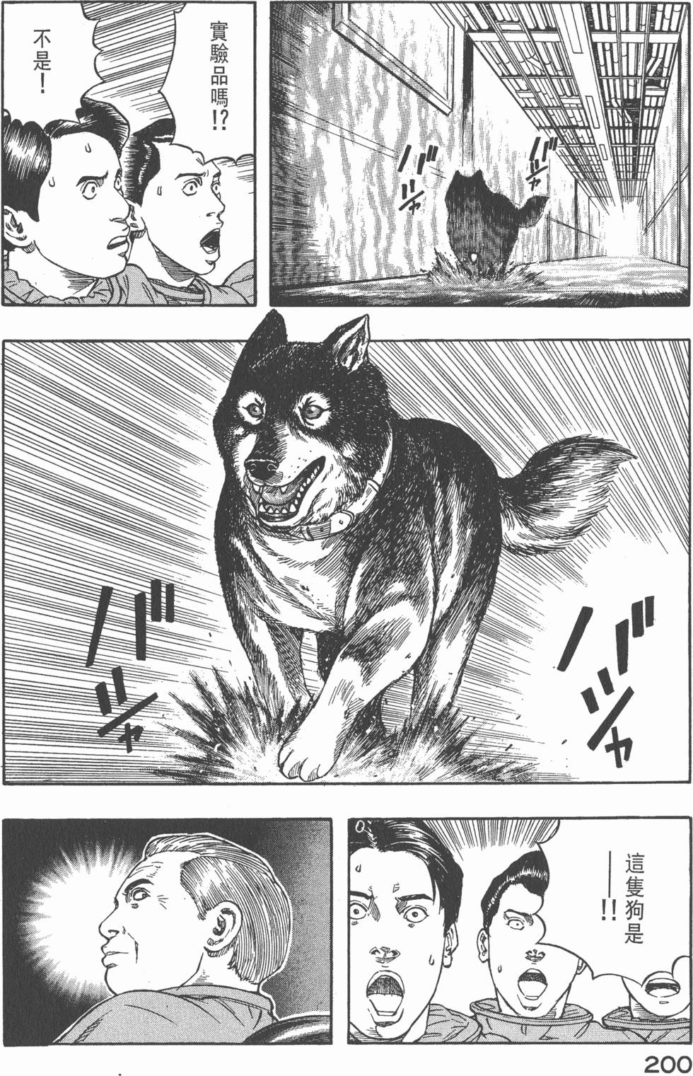第198页