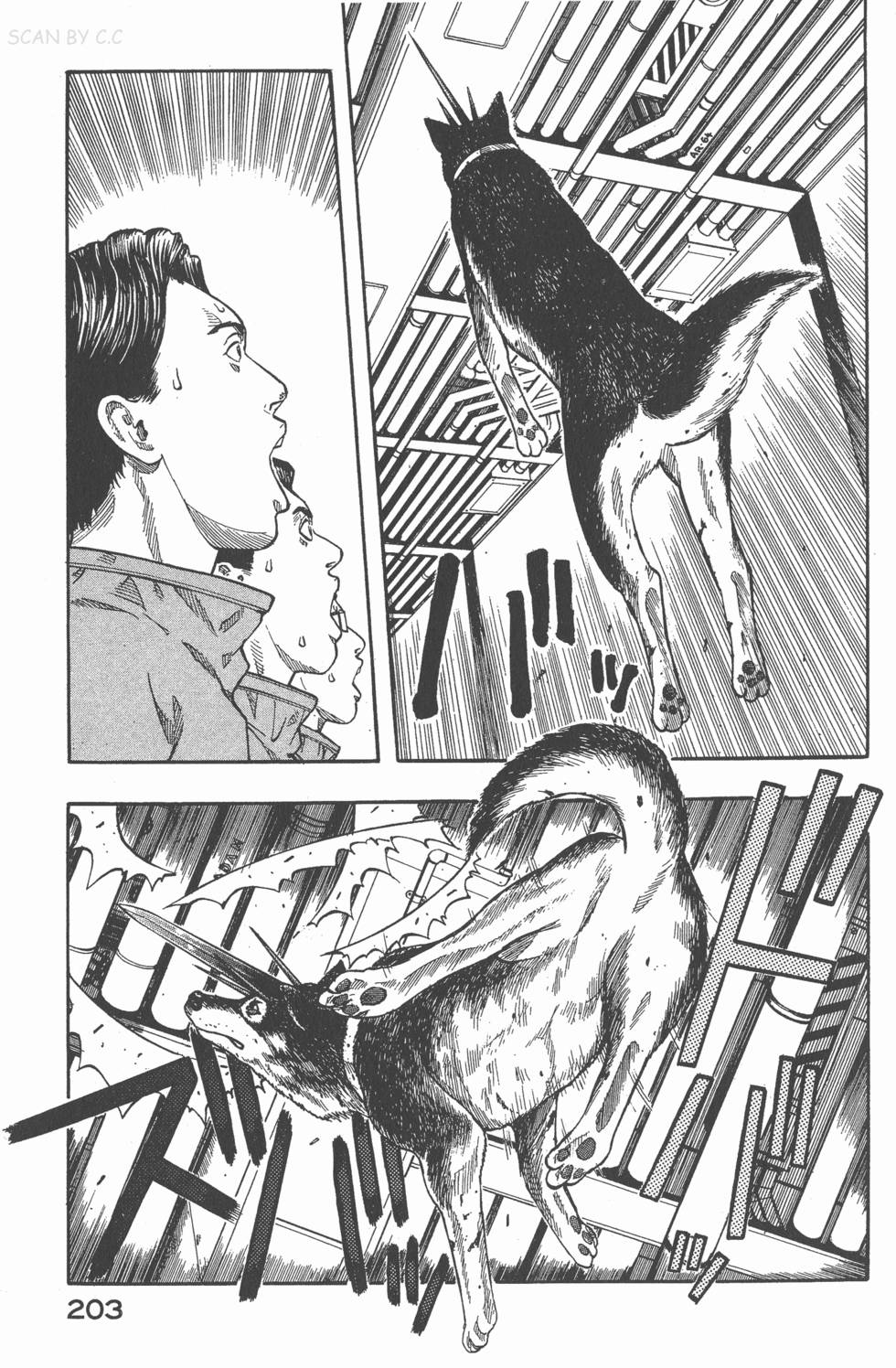 第201页