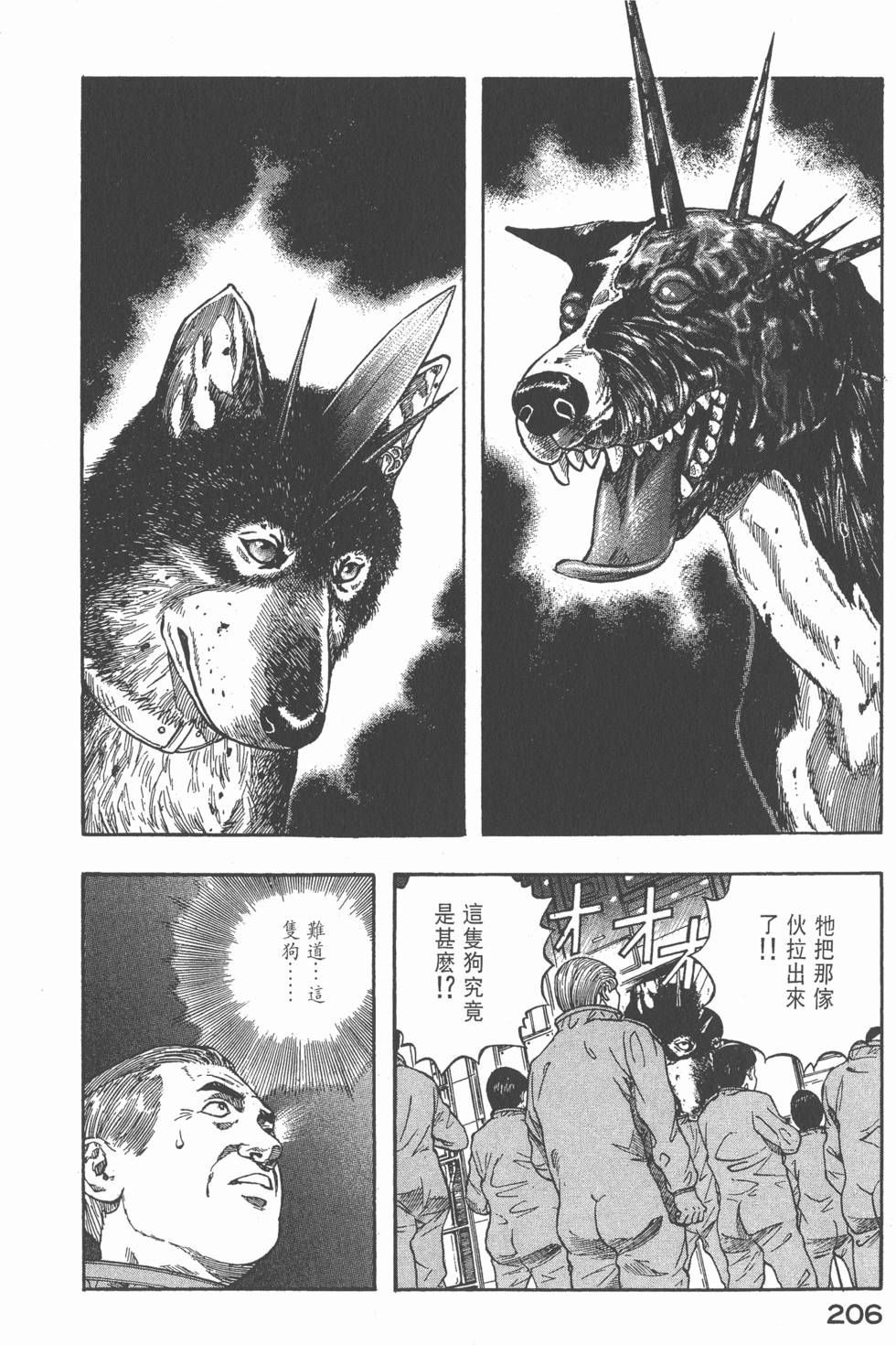 第204页