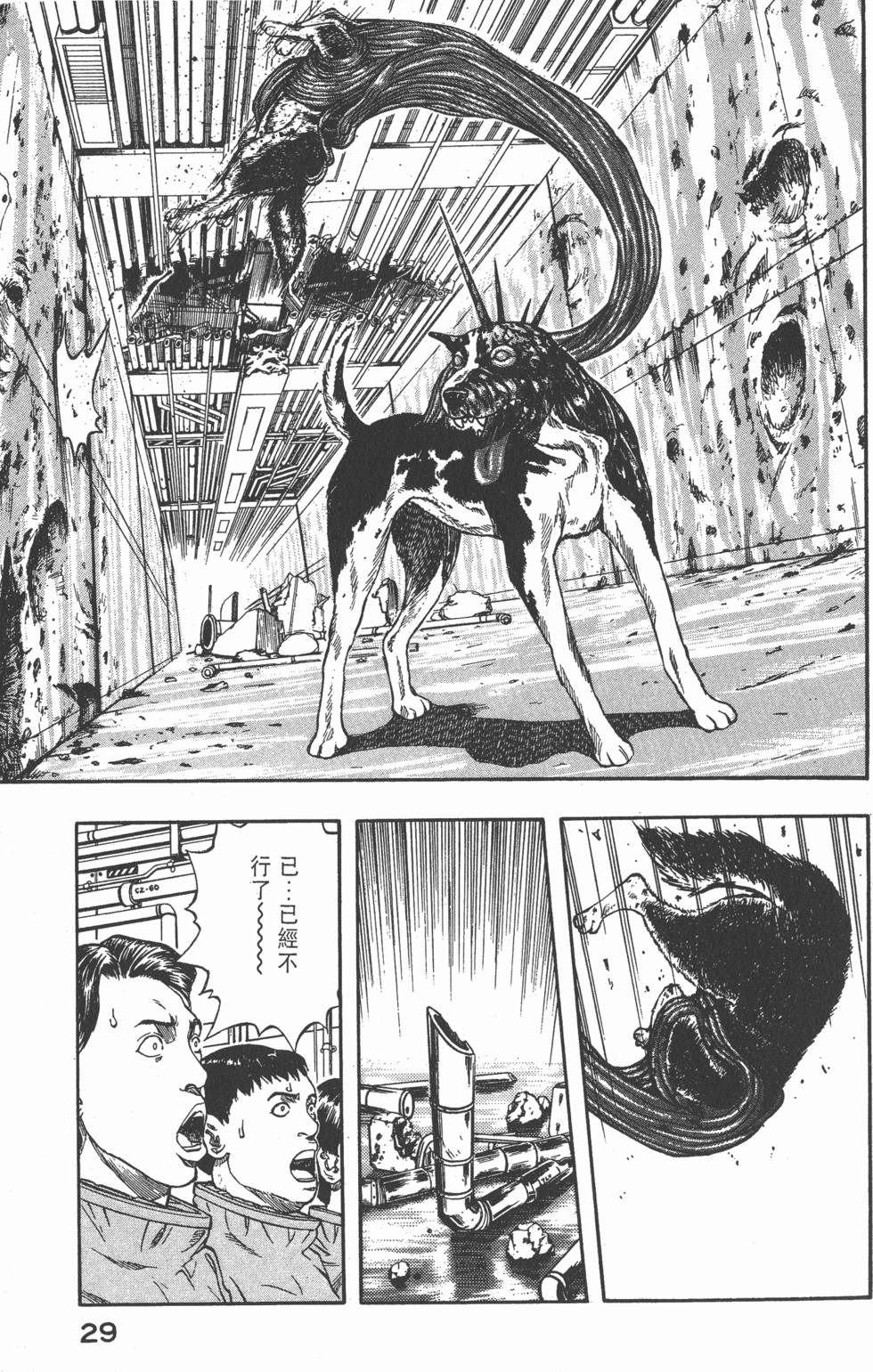 第27页