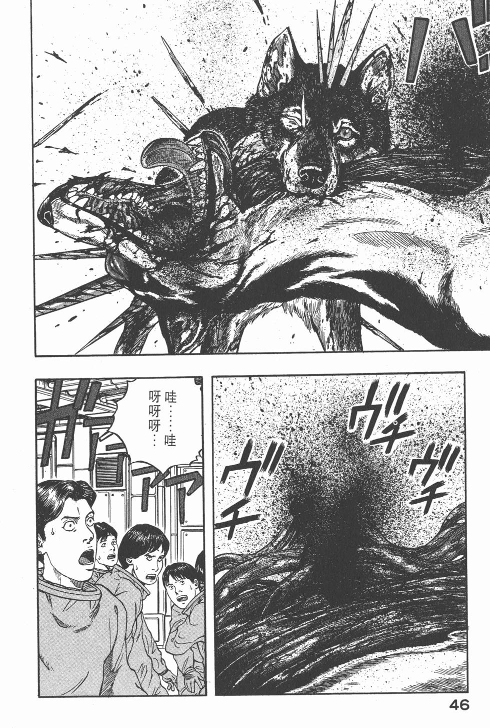 第44页