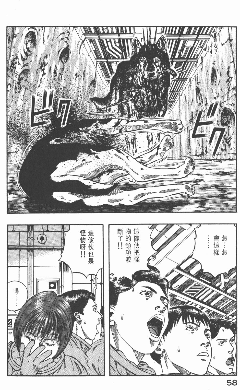 第56页