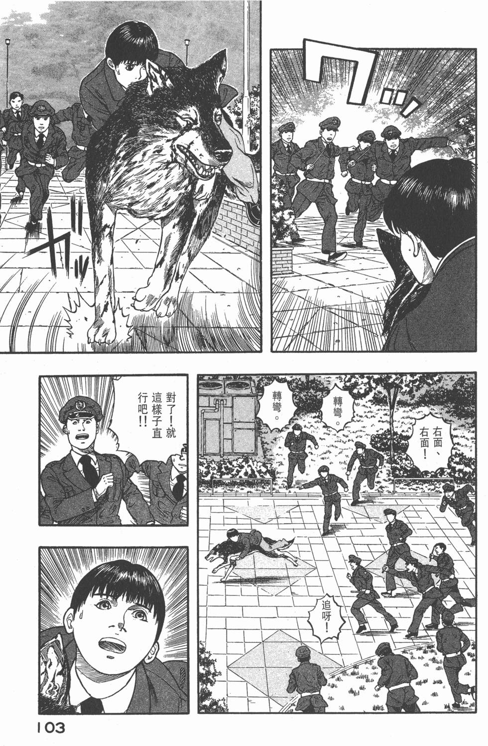 第101页