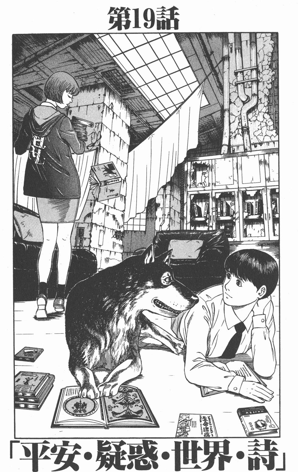 第161页