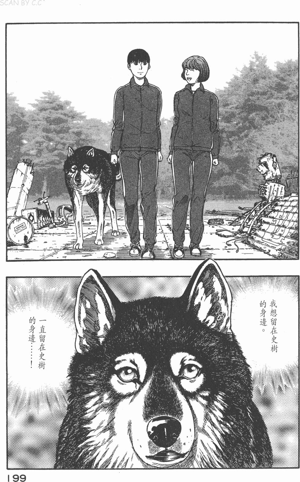 第197页