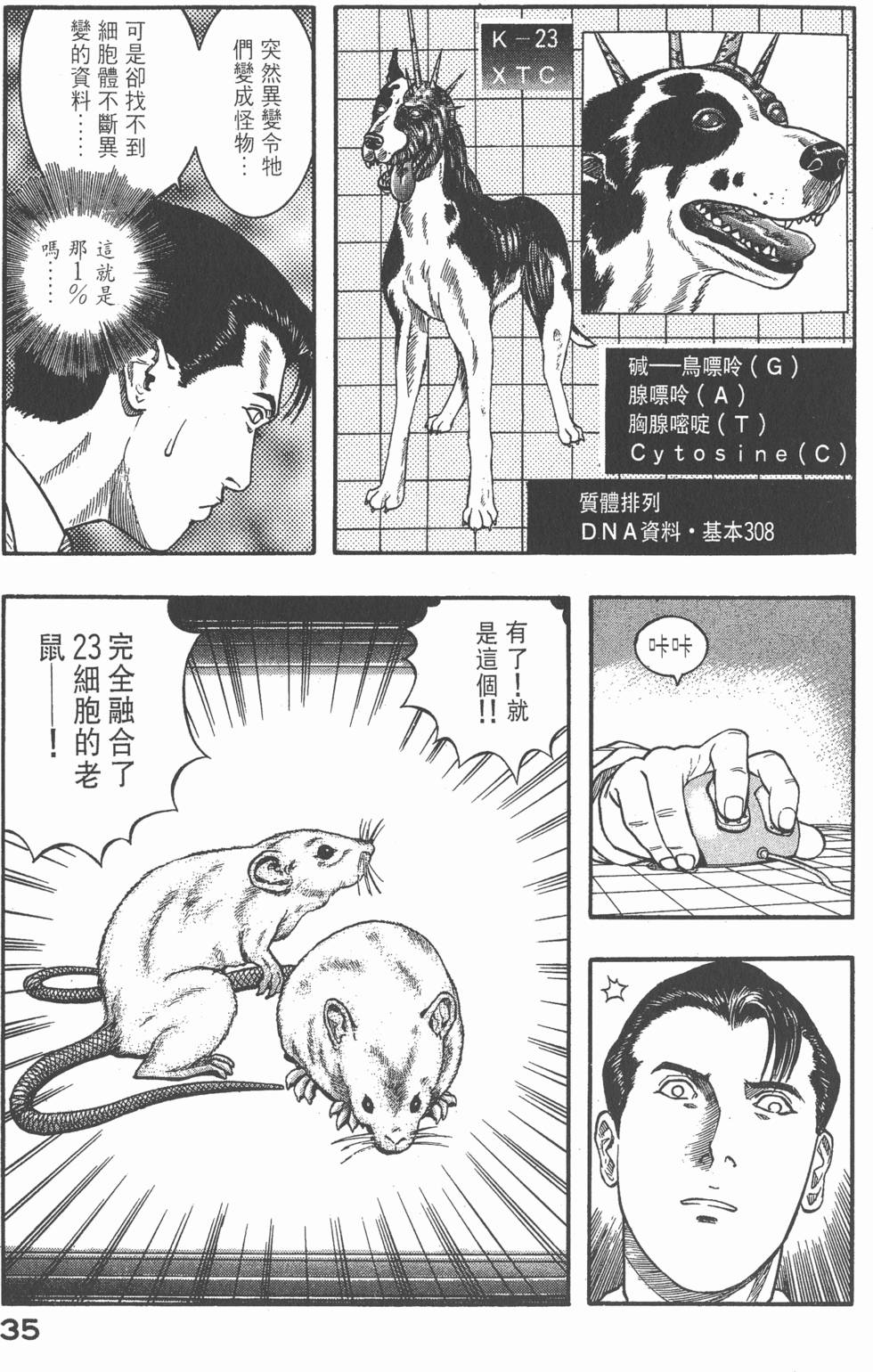 第33页