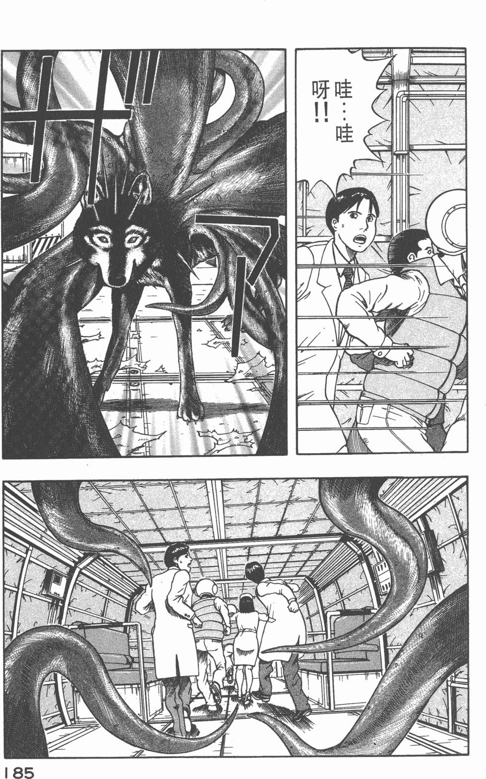 第183页