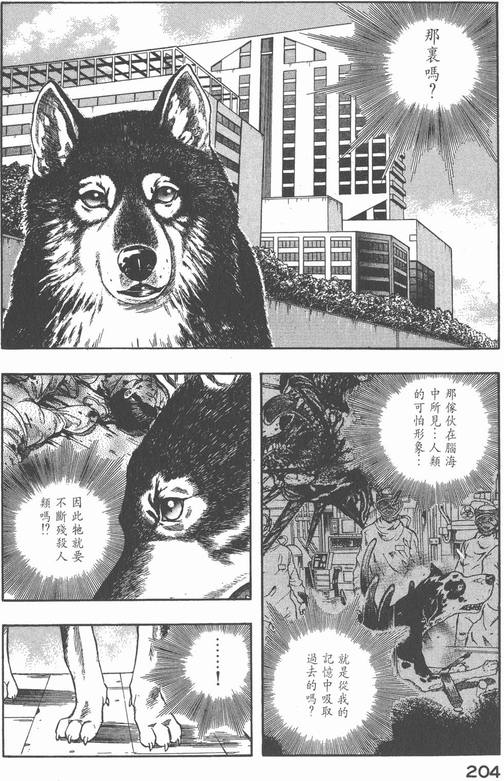 第202页
