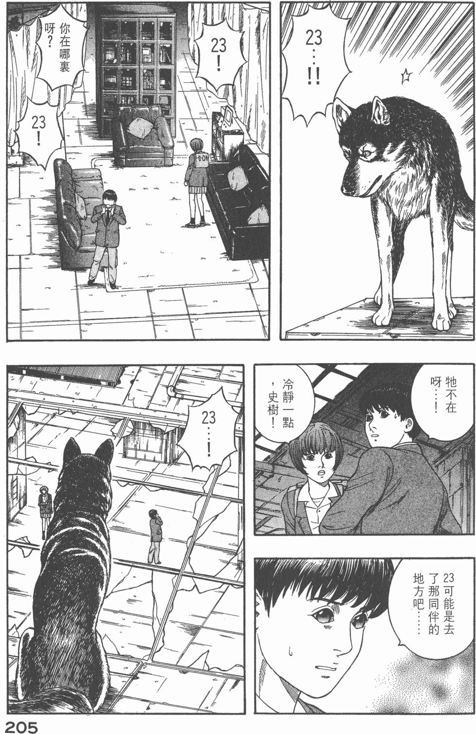 第203页