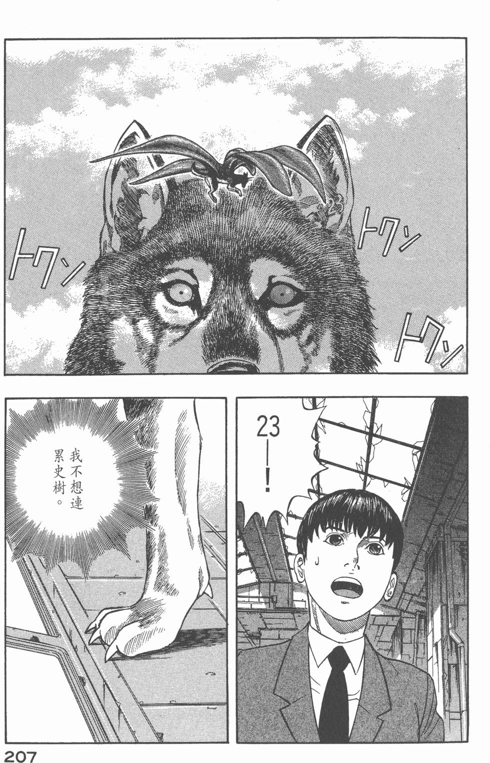 第205页