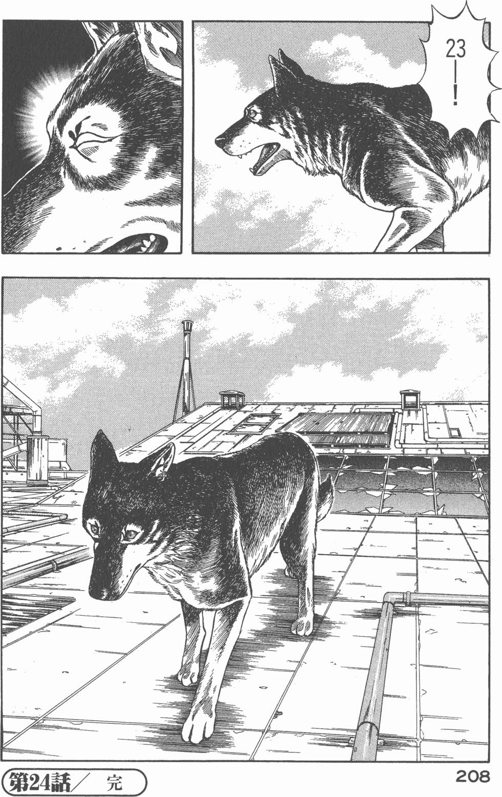 第206页