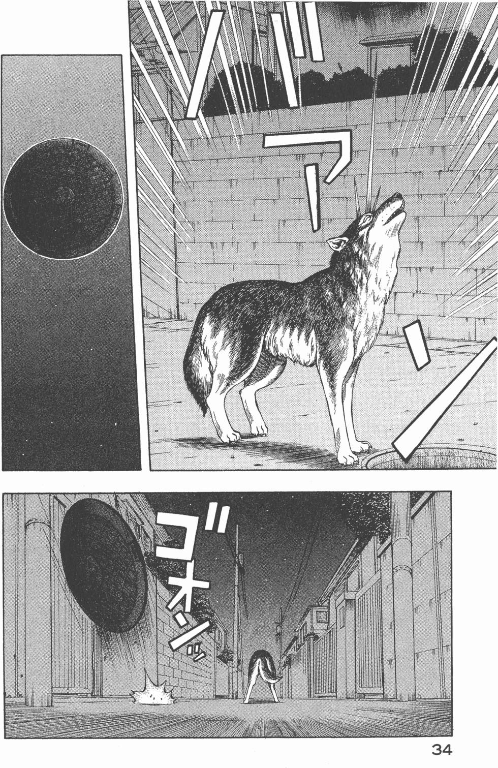 第32页