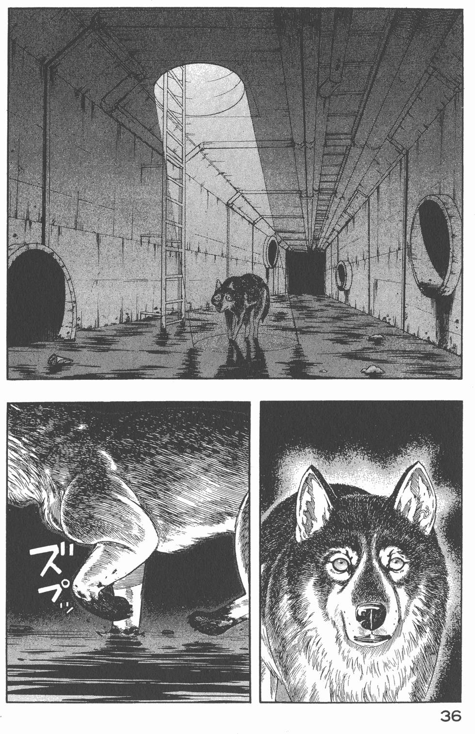第34页