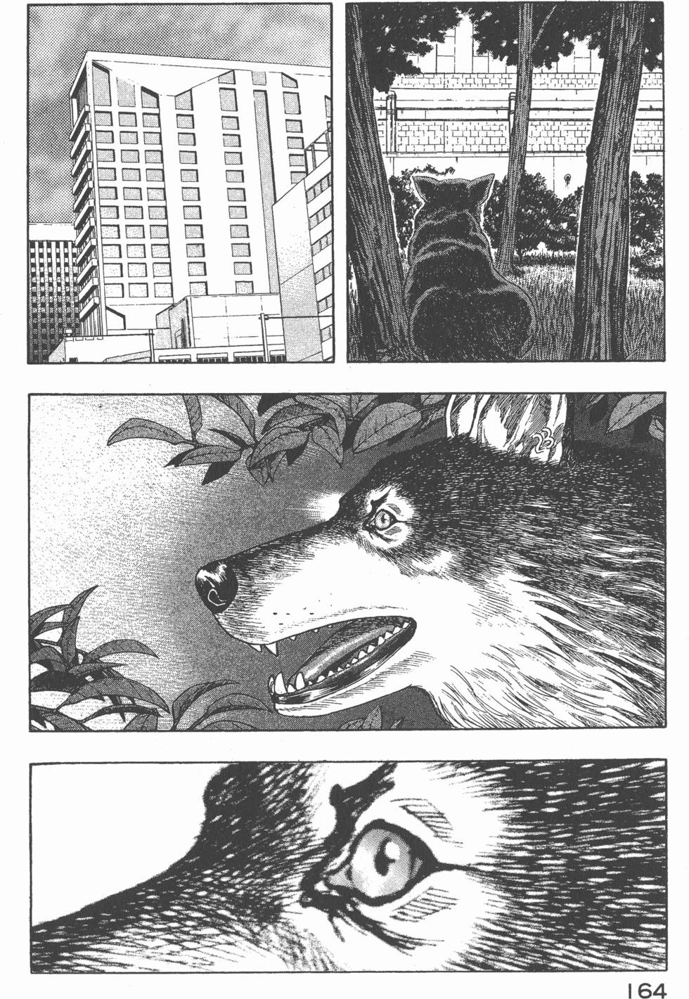 第162页