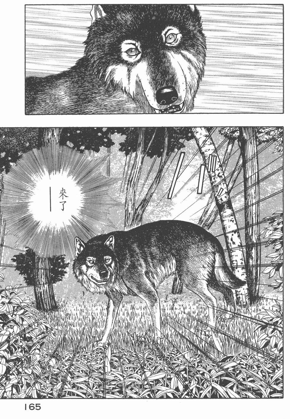 第163页