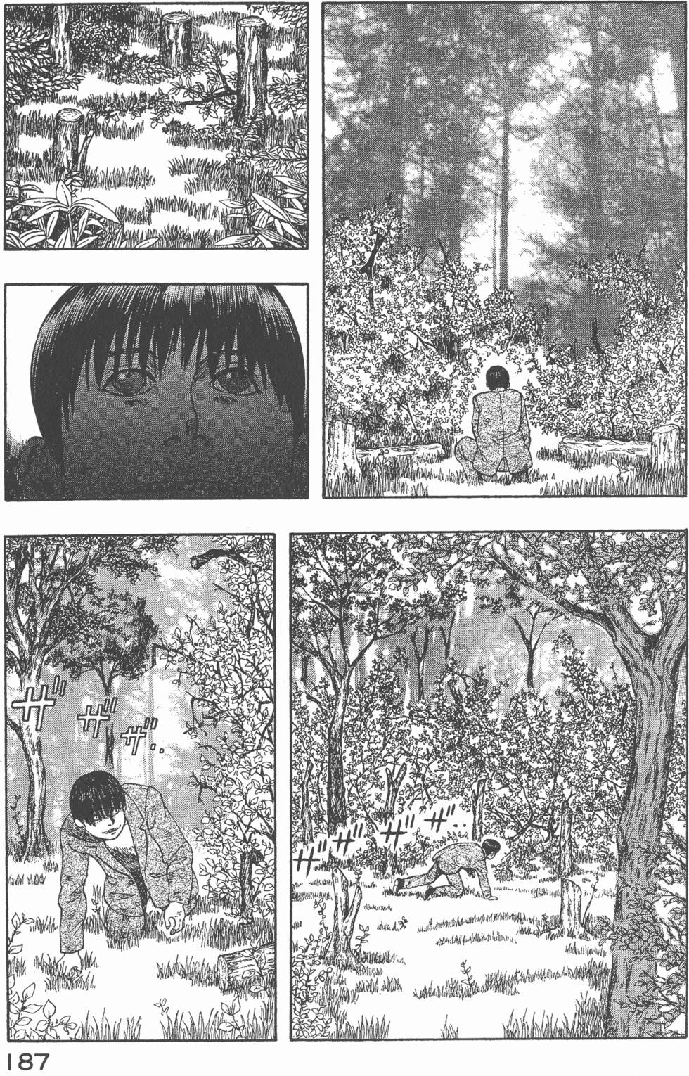 第185页