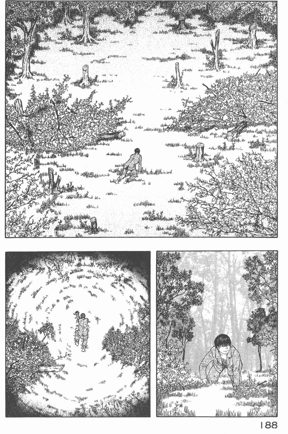 第186页