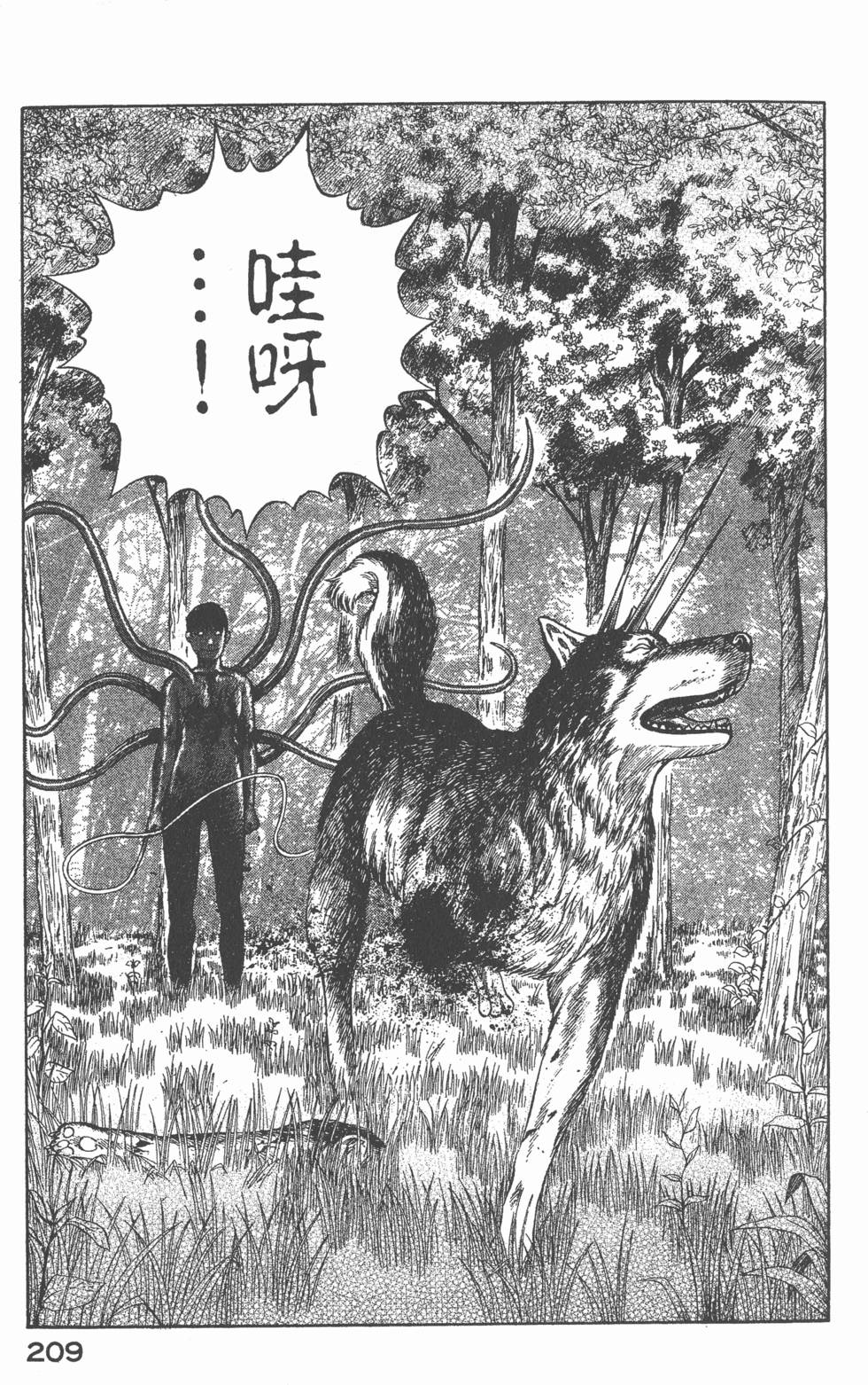 第207页