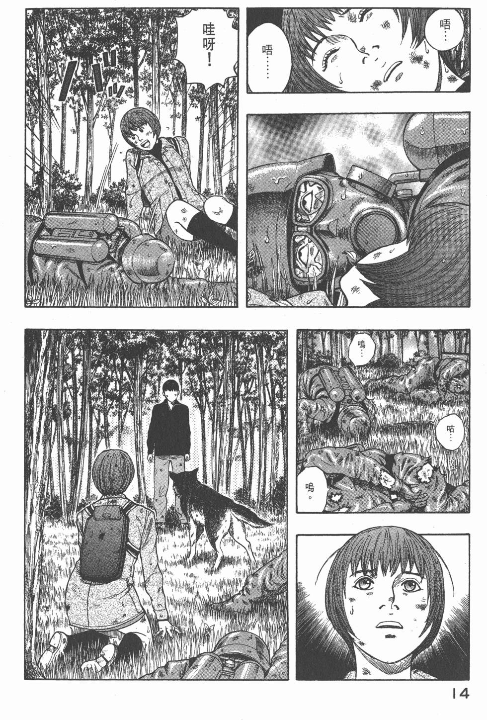 第12页