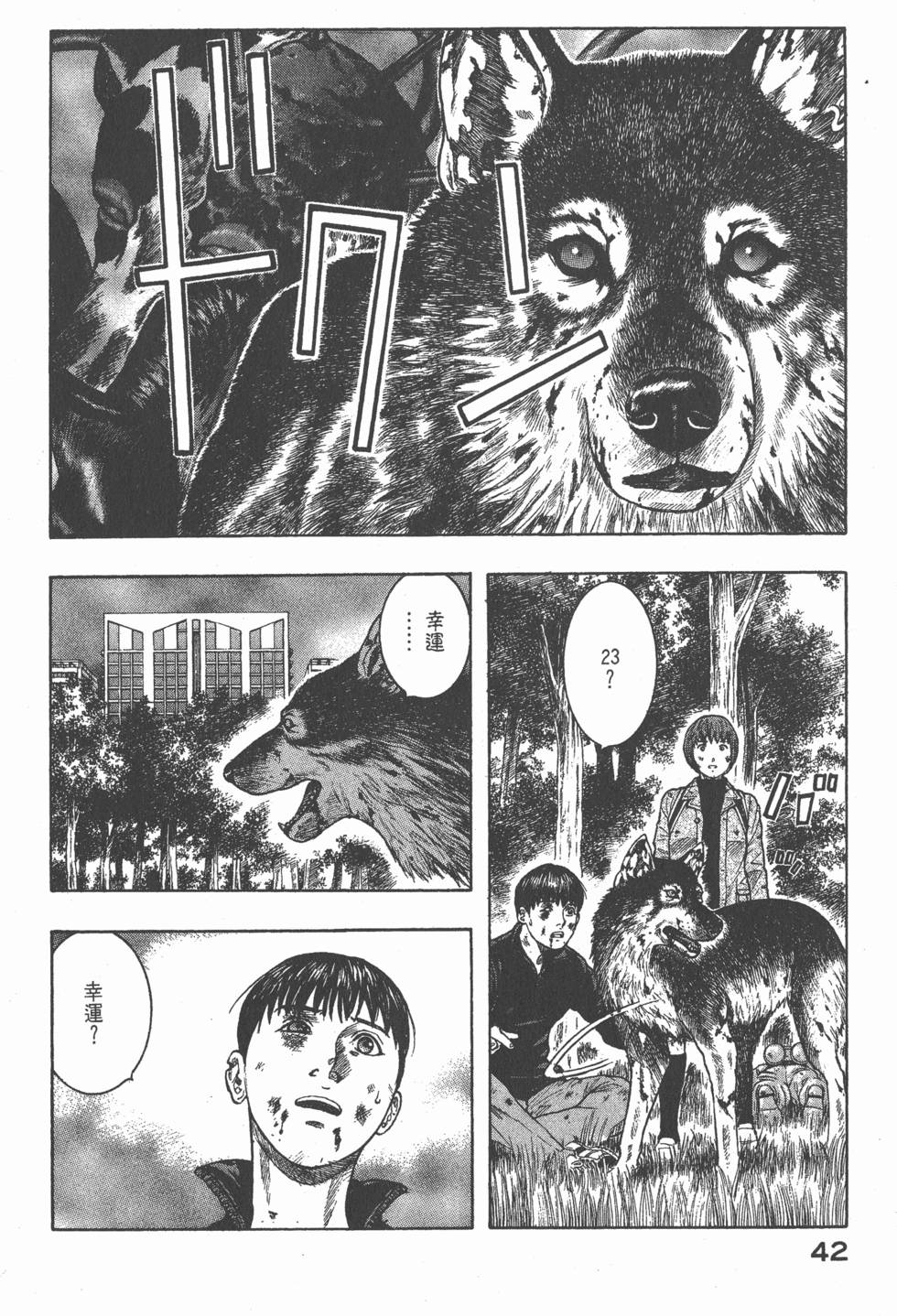 第40页