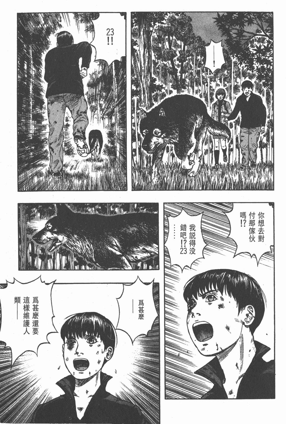 第41页