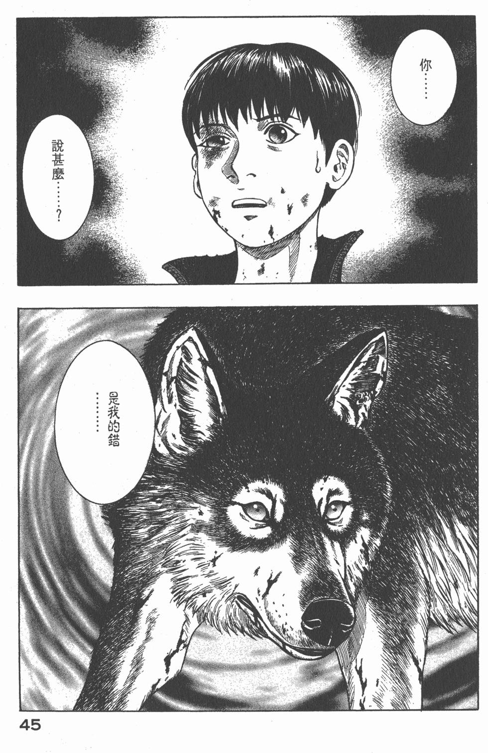 第43页