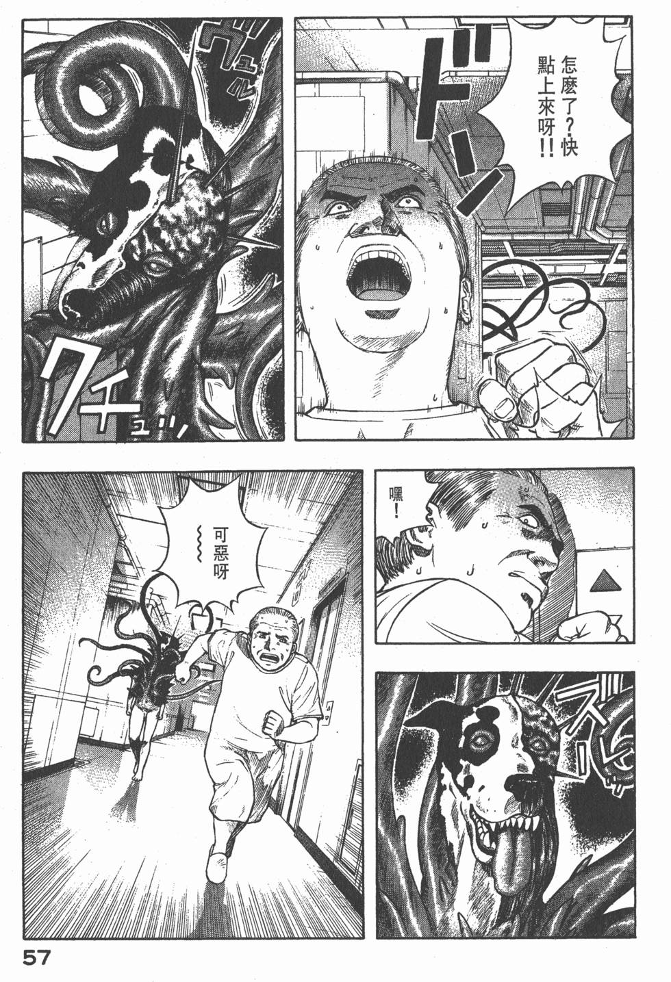 第55页