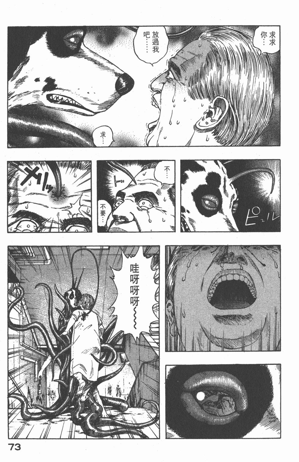 第71页