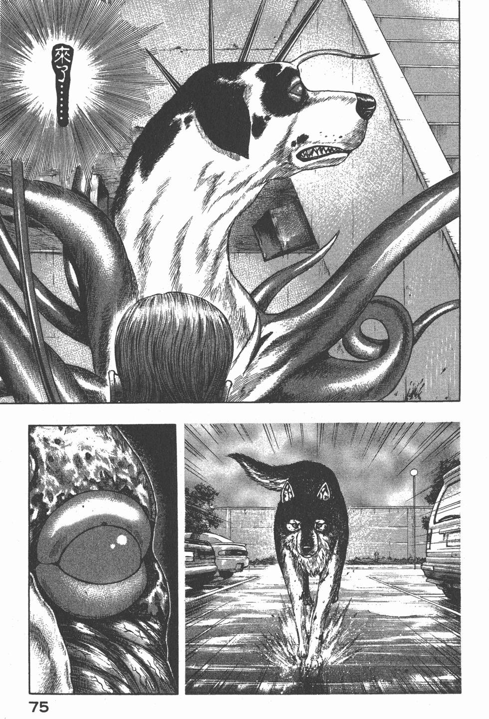 第73页