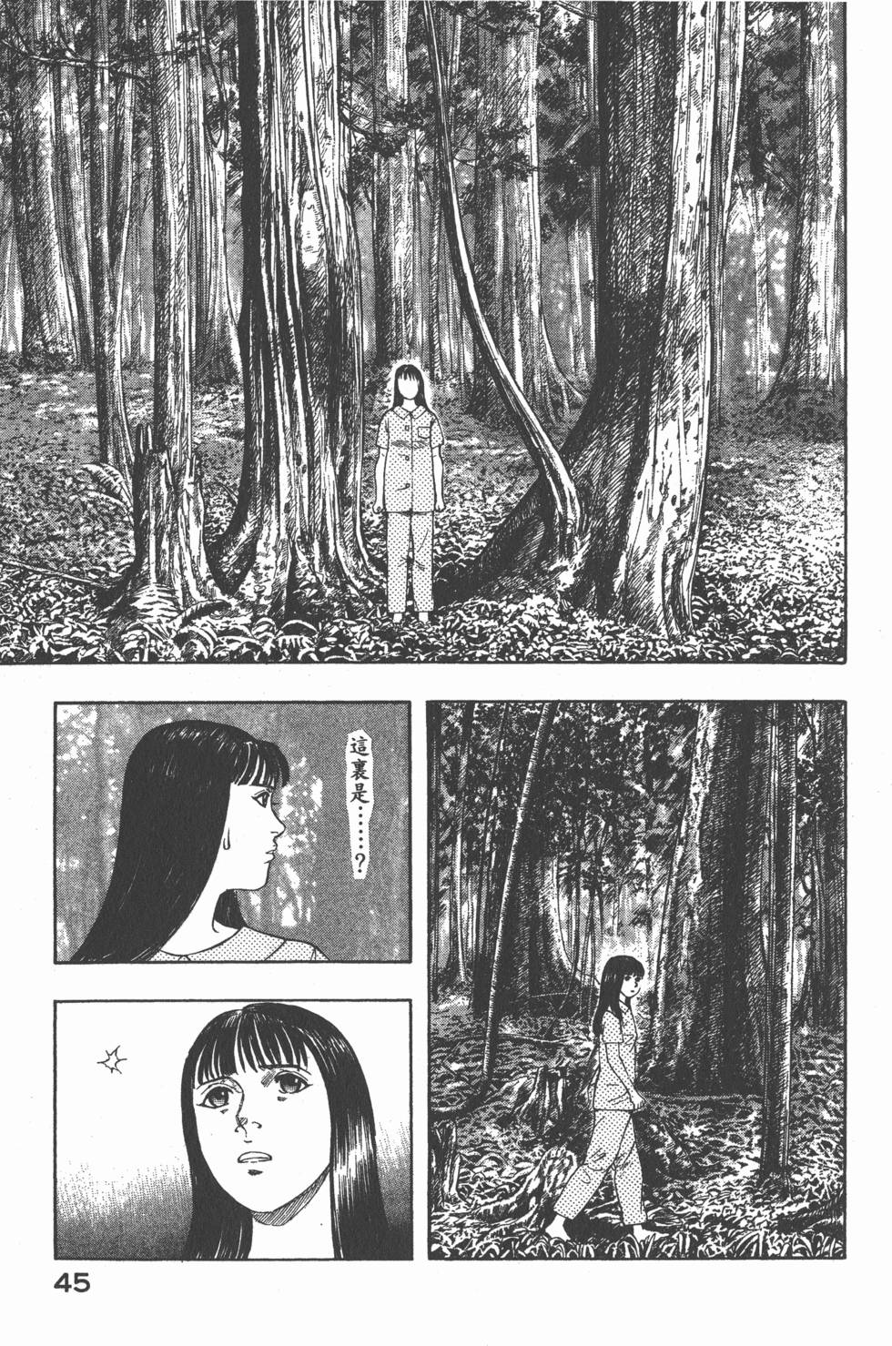 第43页