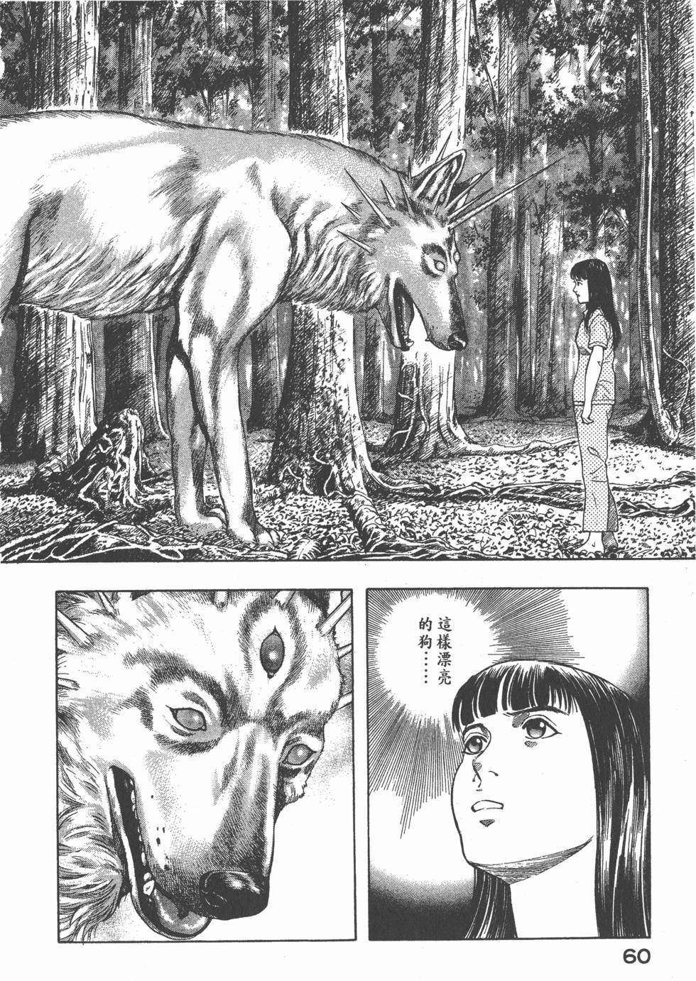 第58页