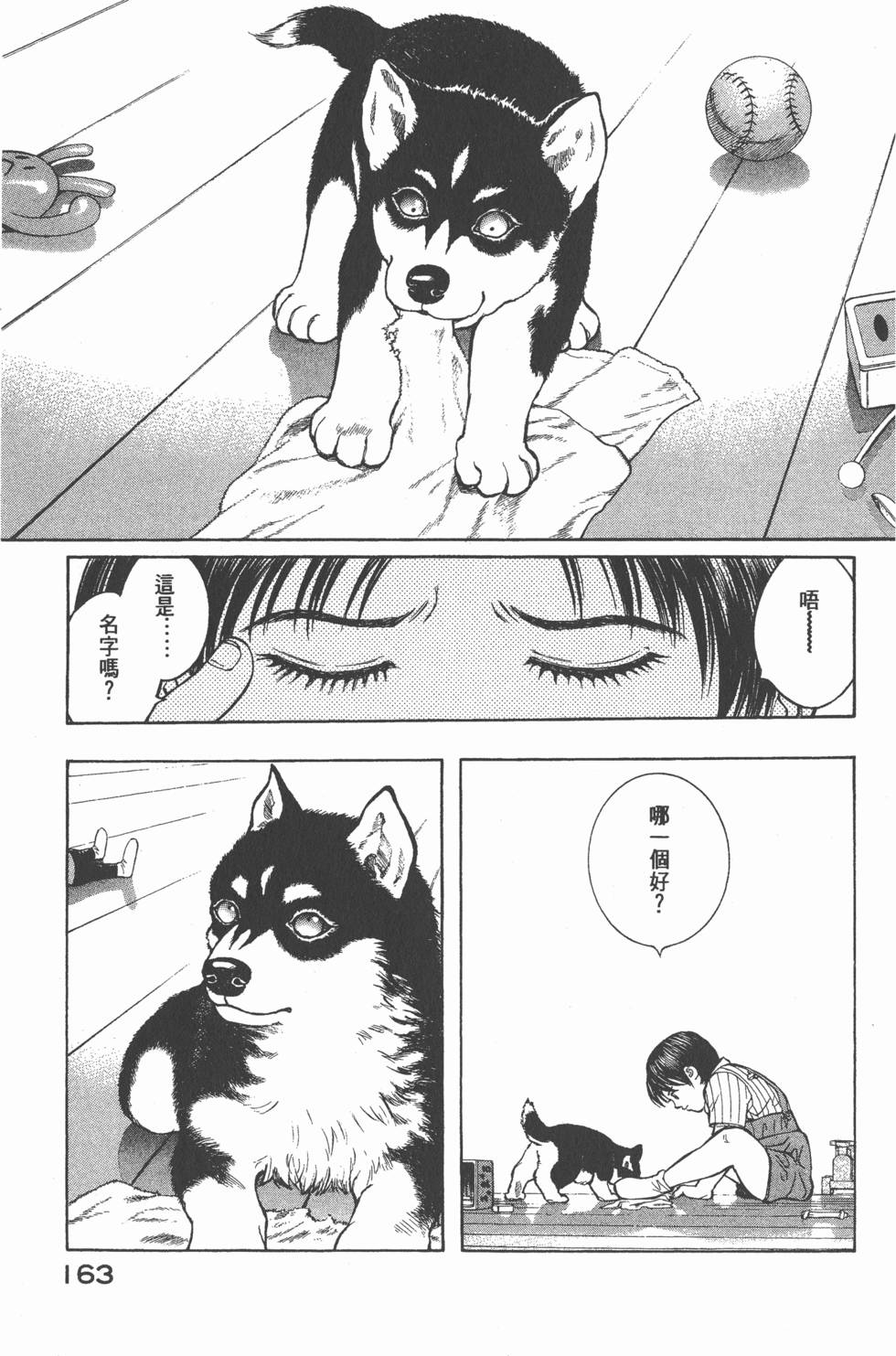 第161页