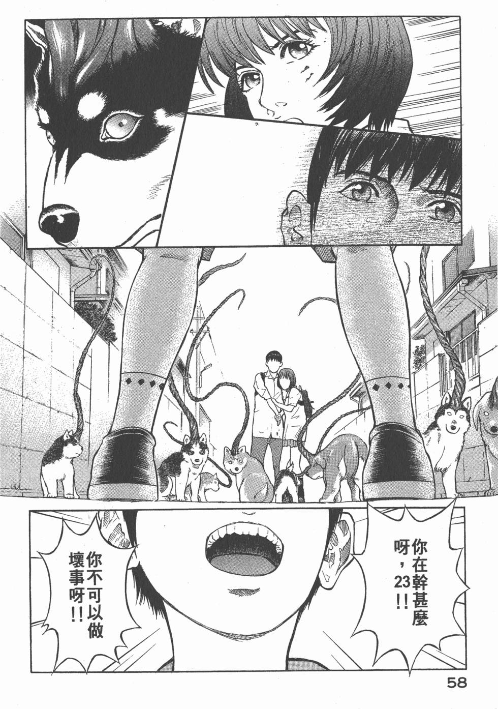 第56页