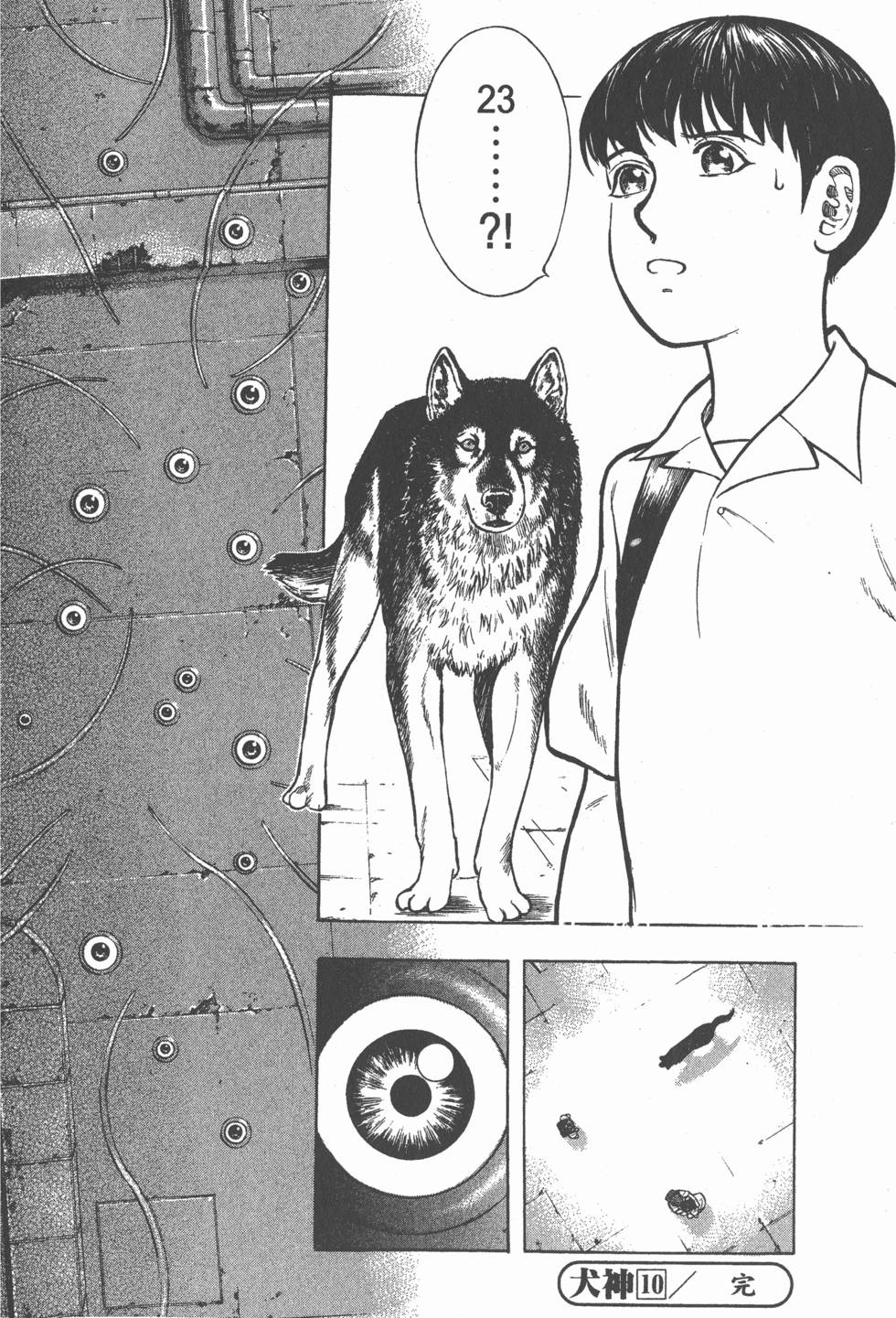 第204页
