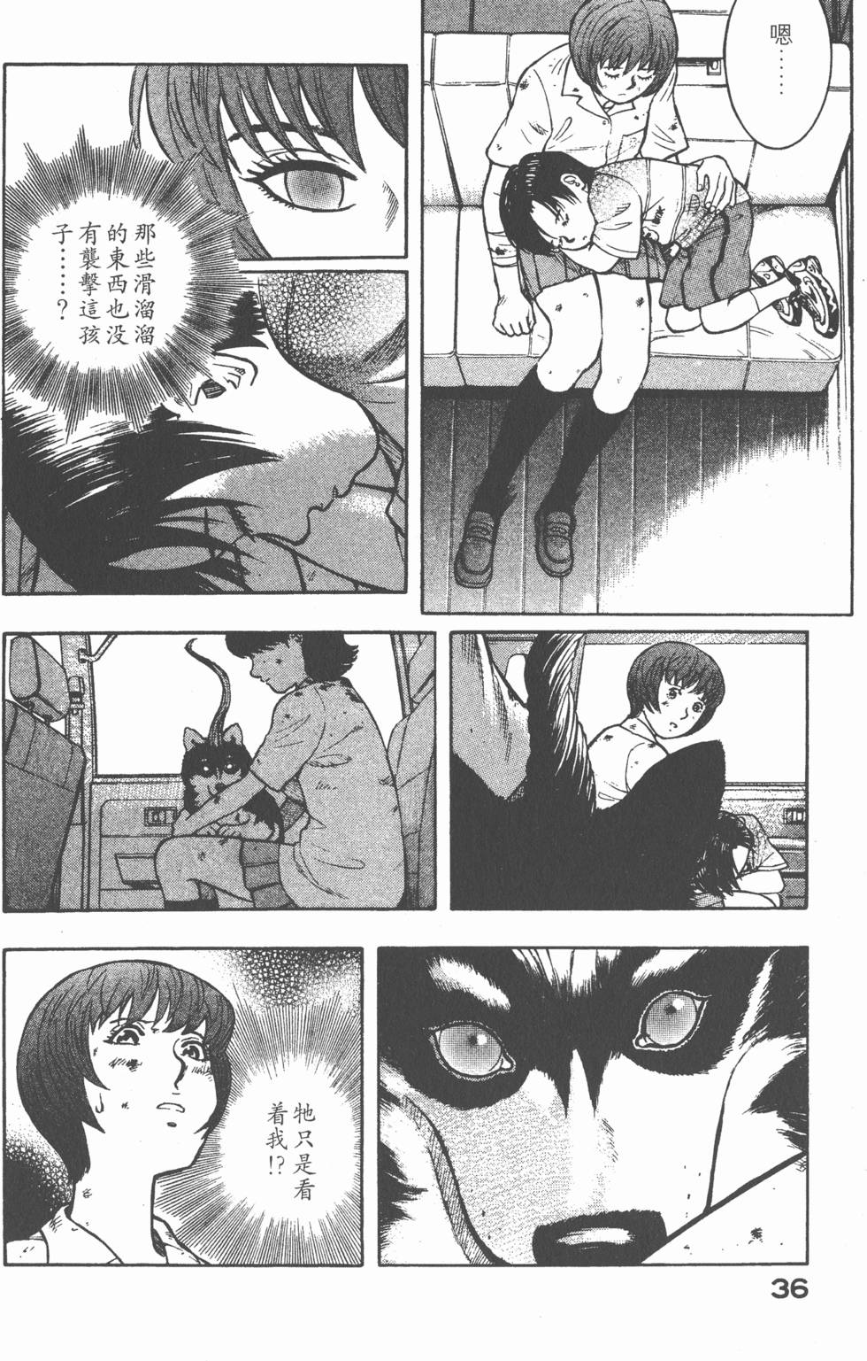 第34页
