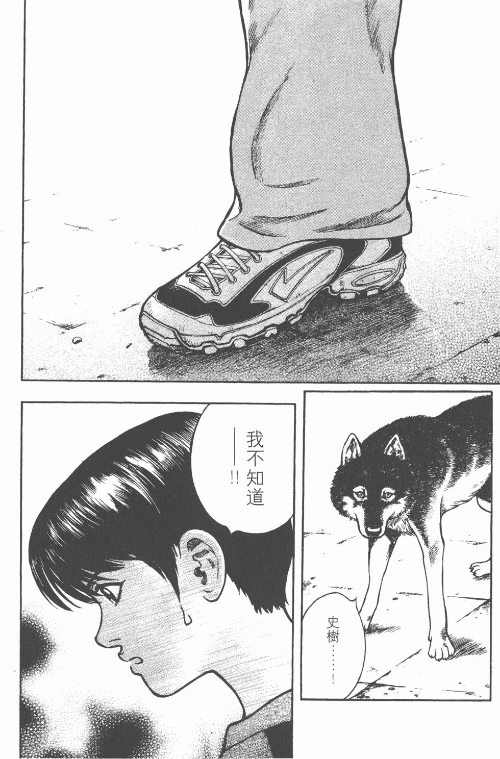 第146页