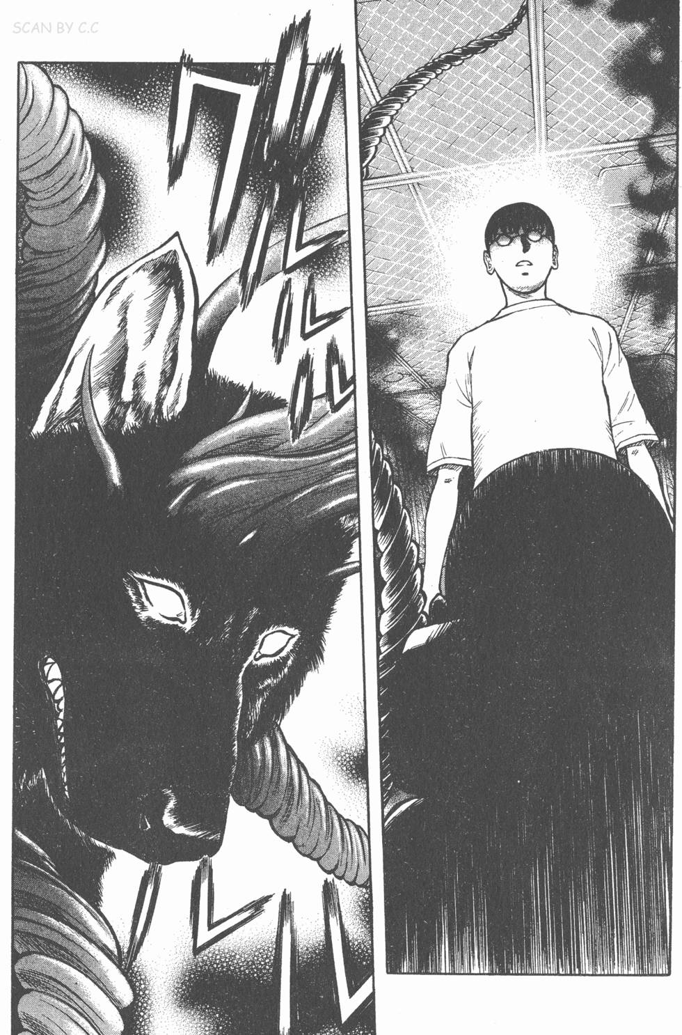 第205页