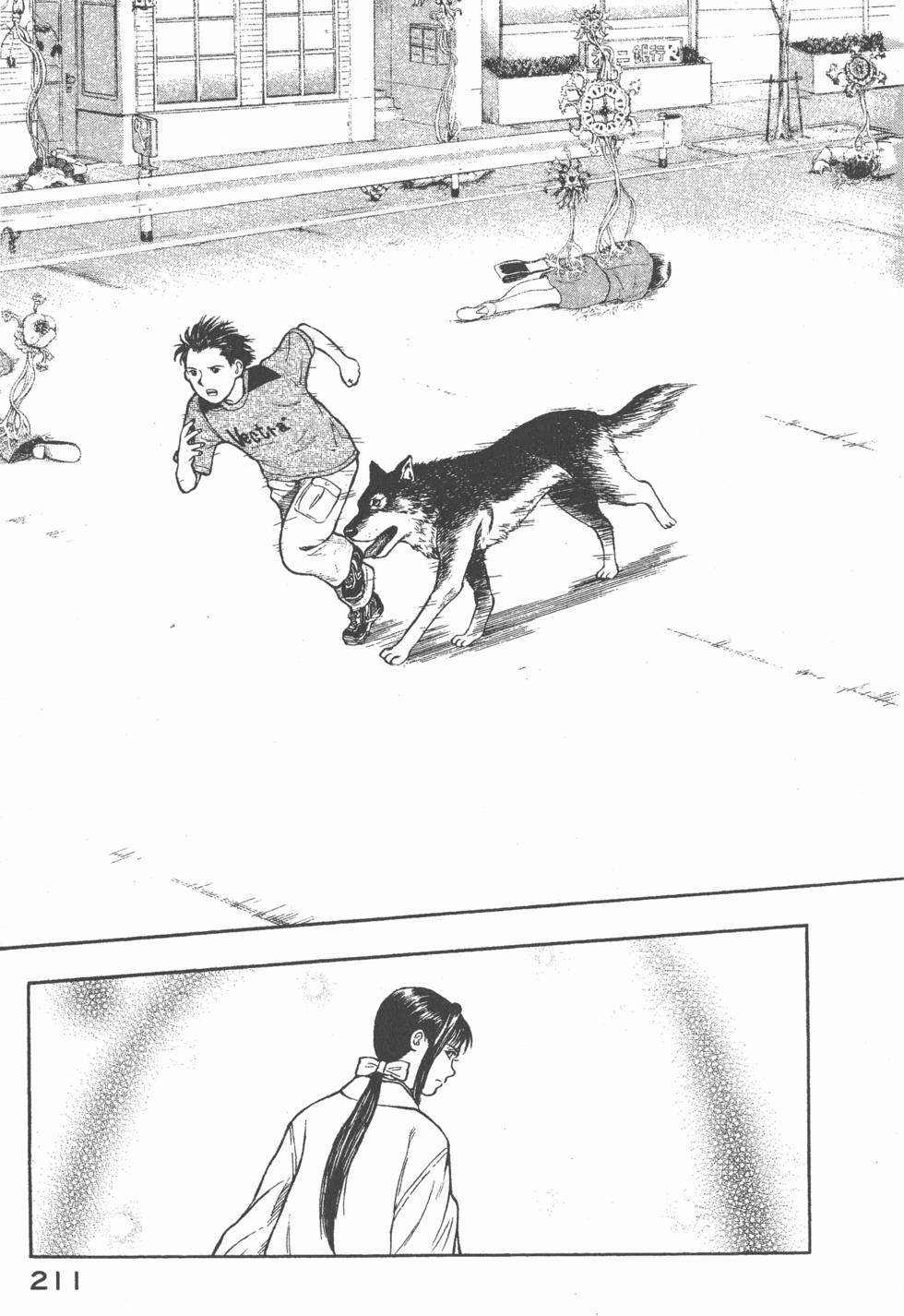 第209页