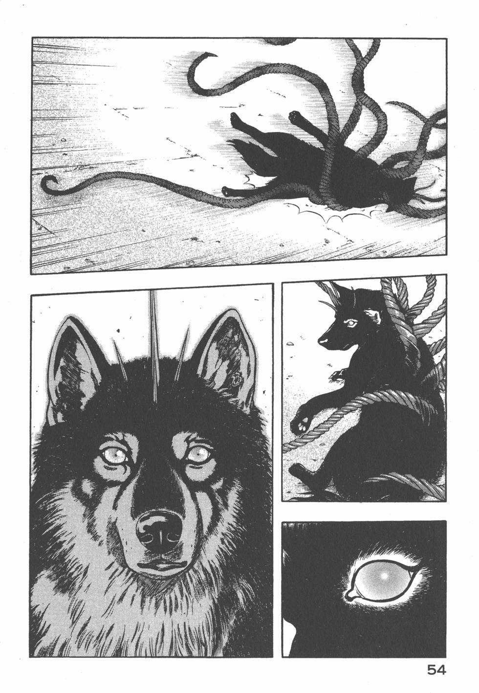 第52页