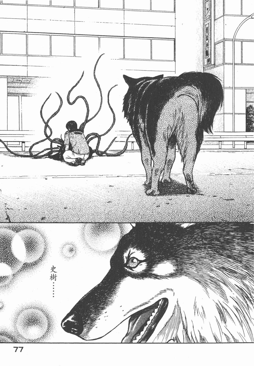 第75页