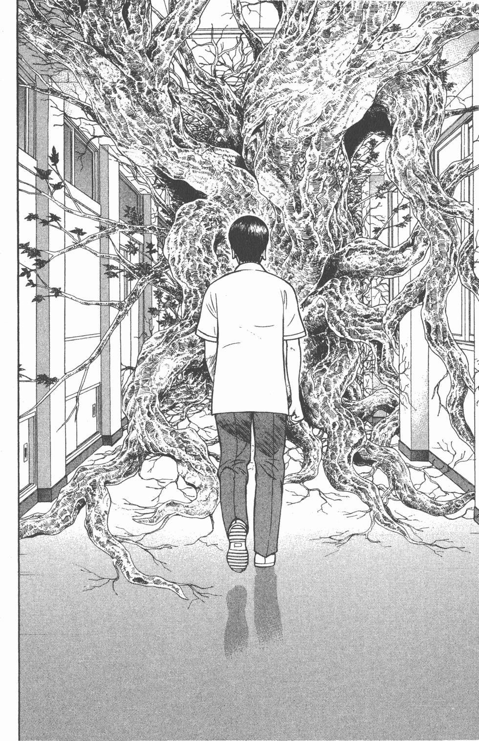 第186页