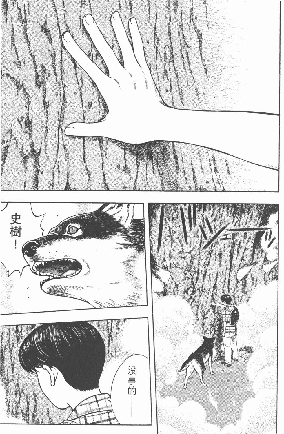 第191页